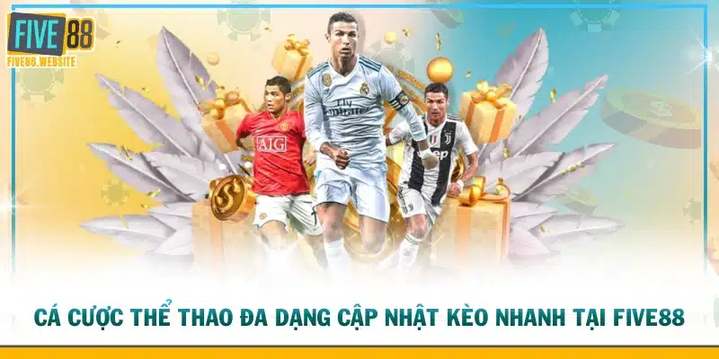 Cá cược thể thao đa dạng cập nhật kèo nhanh tại FIVE88